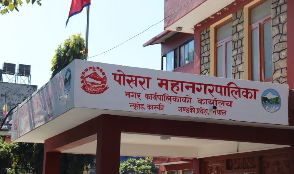 सिप्लिकान र चिउरीका बिरुवा अनुदानमा वितरण गर्दै महानगर
