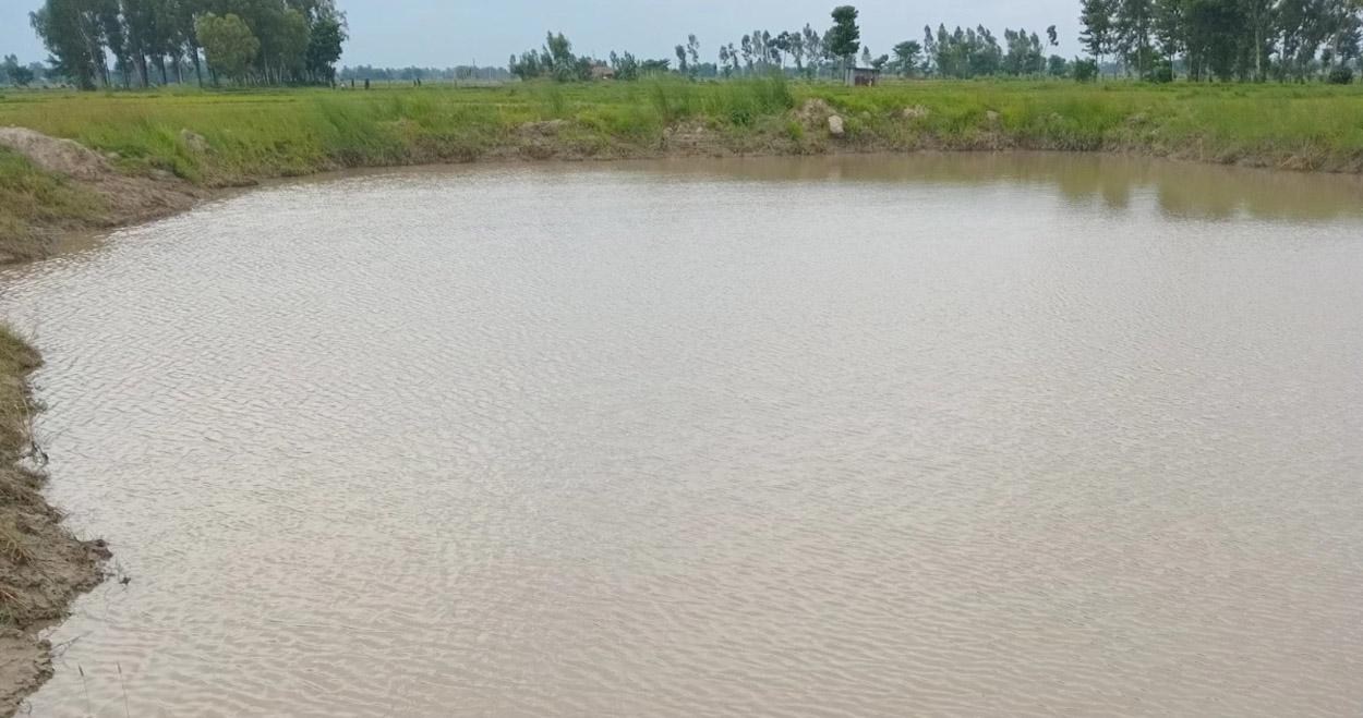 मोरङमा डुबिरहेको अवस्थामा उद्धार गरिएका बालकको मृत्यु