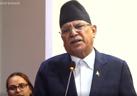 एनजिओ-आइएनजिओहरुमाथि निगरानी : प्रचण्ड