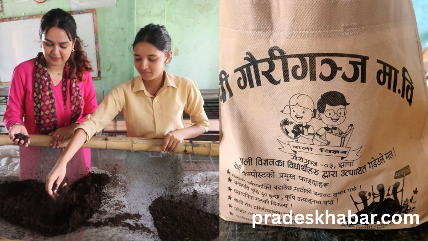 झापाको गौरिगन्जमा विद्यालयले सुरु गर्‍यो भर्मी कम्पोस्ट उत्पादन : व्यावसायिक कृषि शिक्षामा उदाहरणीय पहल