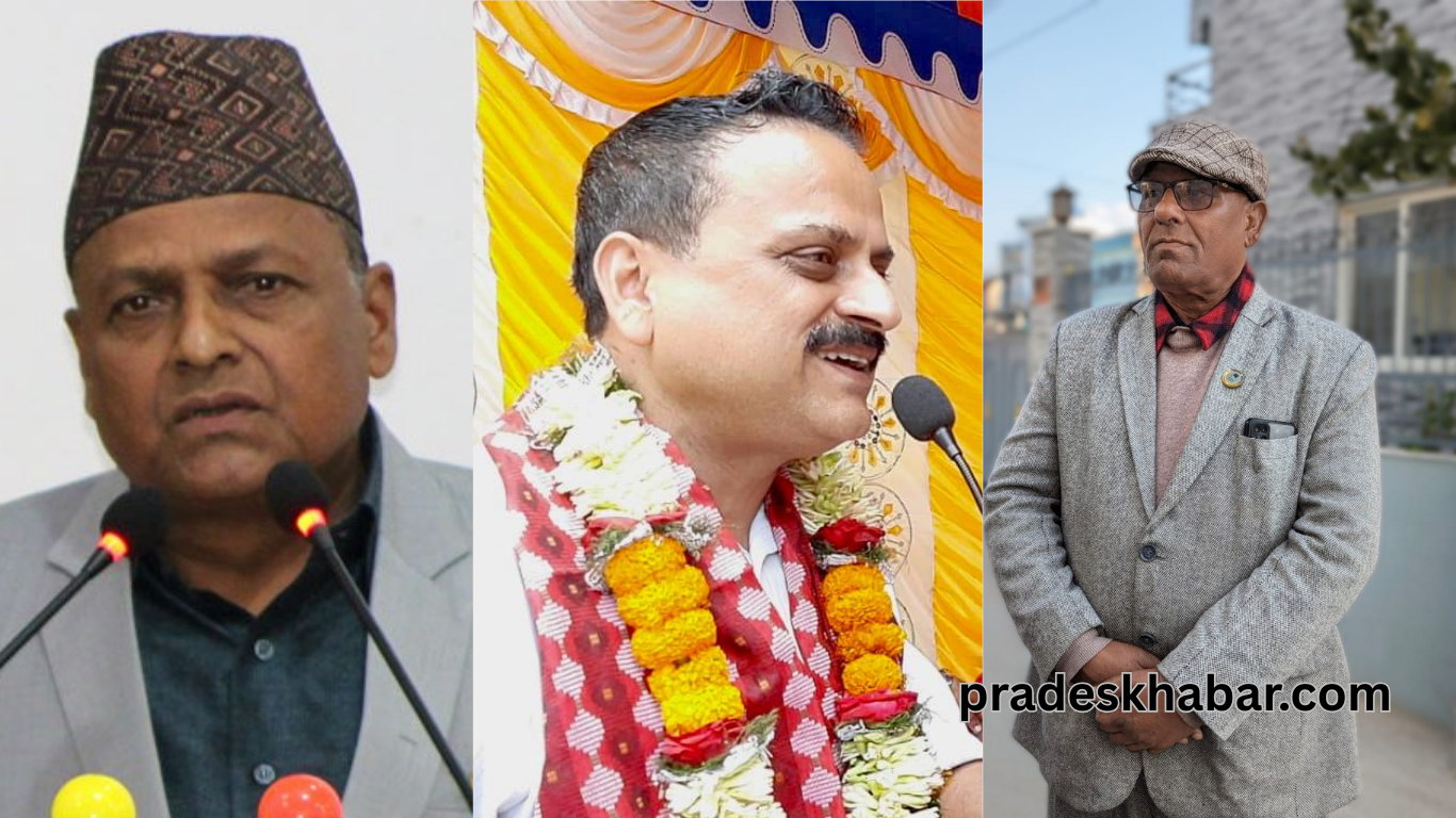 सुनसरी–२ बाट काँग्रेसका २ केन्द्रीय सदस्यसहित पूर्व राज्यमन्त्री सिफारिस