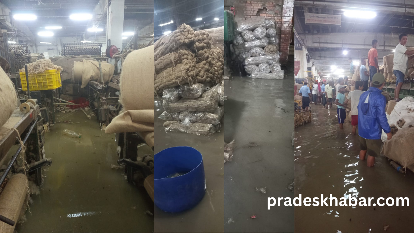 नेपालकै ठूलो जुटमिल सोनापुरस्थित अरिहन्त मल्टी फाइबर्स डुबानमा, २० करोडभन्दा बढीको क्षति