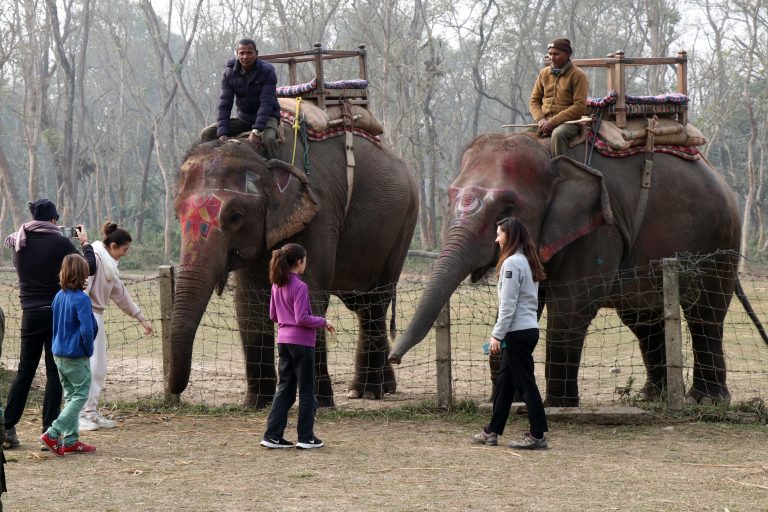 हात्ती सफारी व्यवस्थित गर्न माहुतेलाई प्रशिक्षण