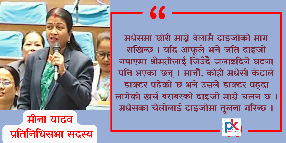 दाइजोप्रथा अन्त्यका लागि कानुन बनाएर तत्काल कार्यान्वयन गर्नुपर्छः मीना यादव