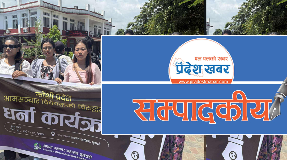 माइक थुन्ने सरकार, लोकतन्त्रको दुश्मन