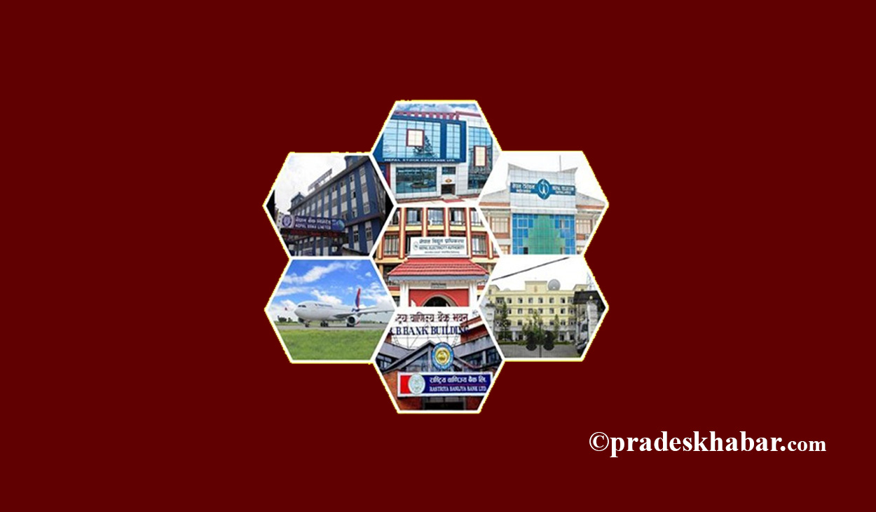 सार्वजनिक संस्थानको चित्र : २७ नाफा र १६ घाटामा सञ्चालित, दुई बन्द