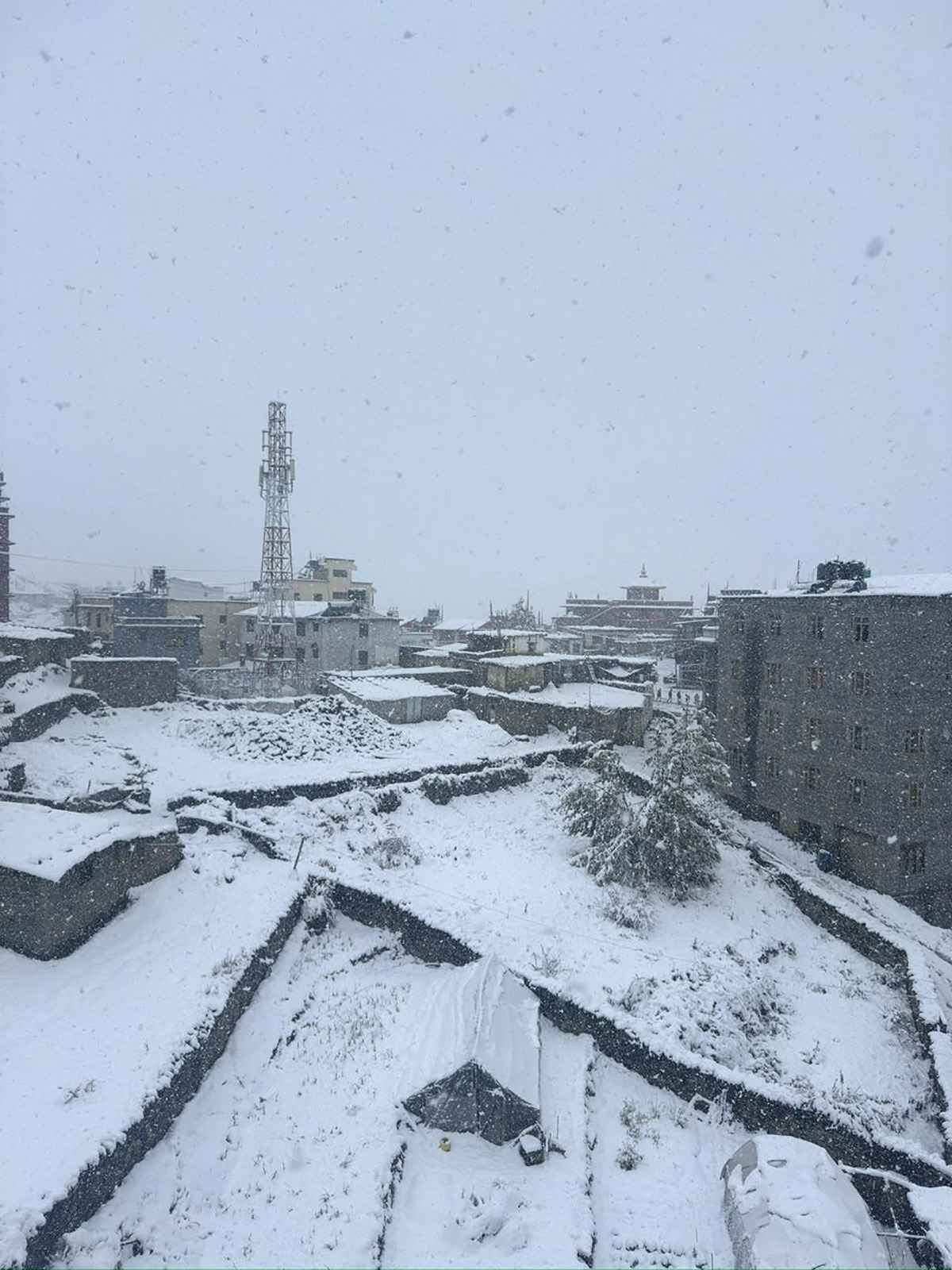 SBT_JOMSOM_1761617769977_11zon