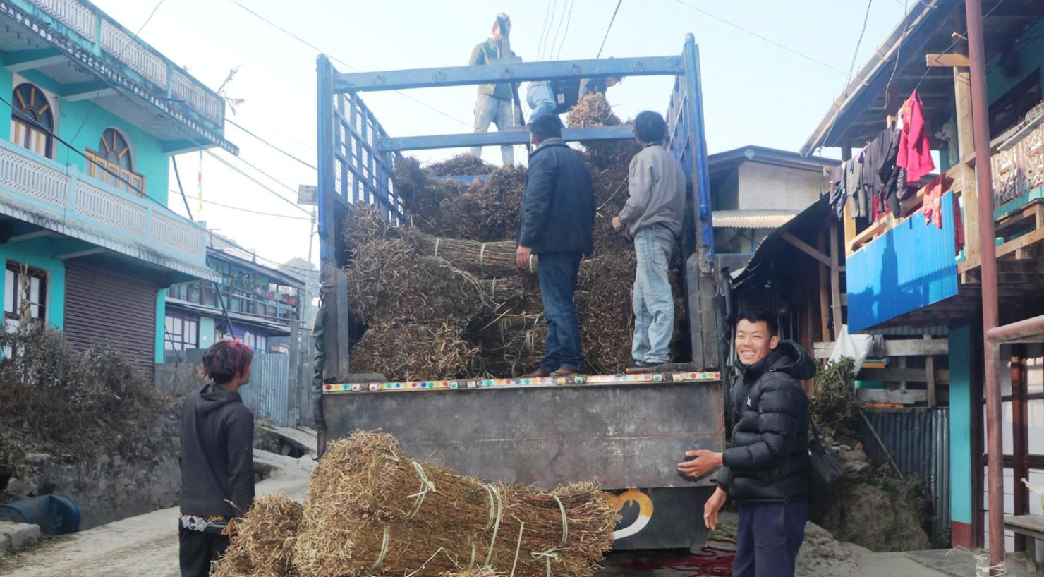 ताप्लेजुङमा उत्पादित चिराइतो बिक्री नहुँदा किसान चिन्तित