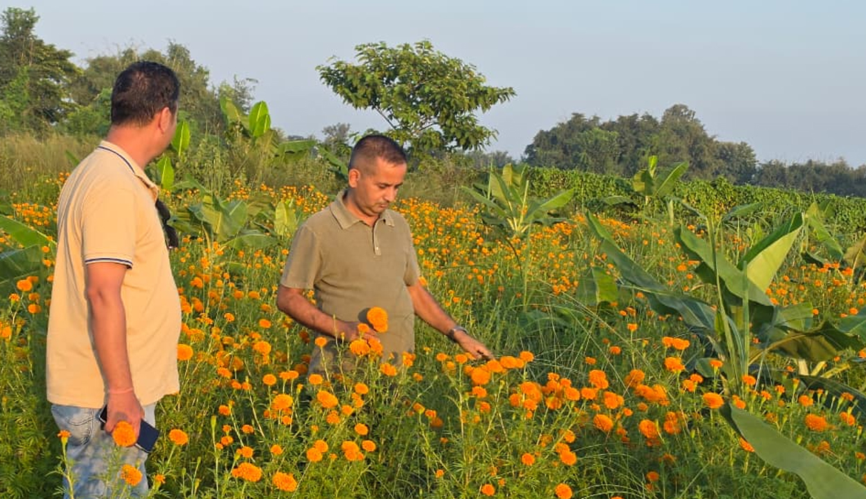 सुन्दरहरैंचाका पूर्वमेयर ढकालको आव्हान,“स्वदेशमै सपना देखौं, सफलताको बीउ यहीँ छ”