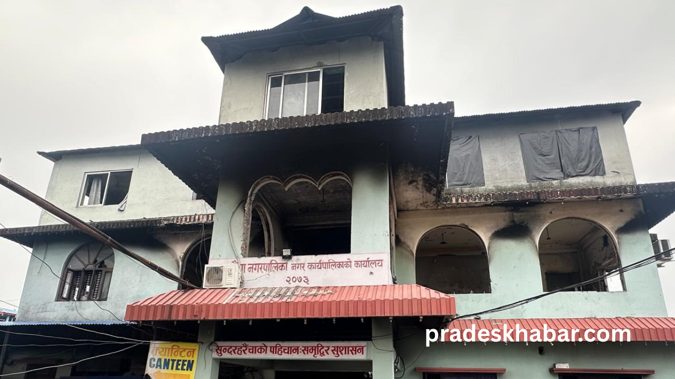 sundar haraicha napa