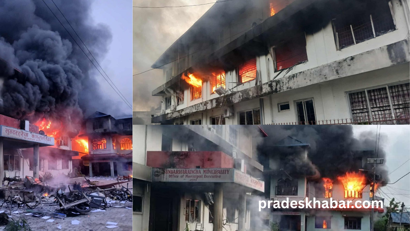 खरानी टकटक्याएर उठ्दै मोरङको सुन्दरहरैँचा नगरपालिका : क्षतिग्रस्त भवन कहिलेबाट सञ्चालन हुन्छ?