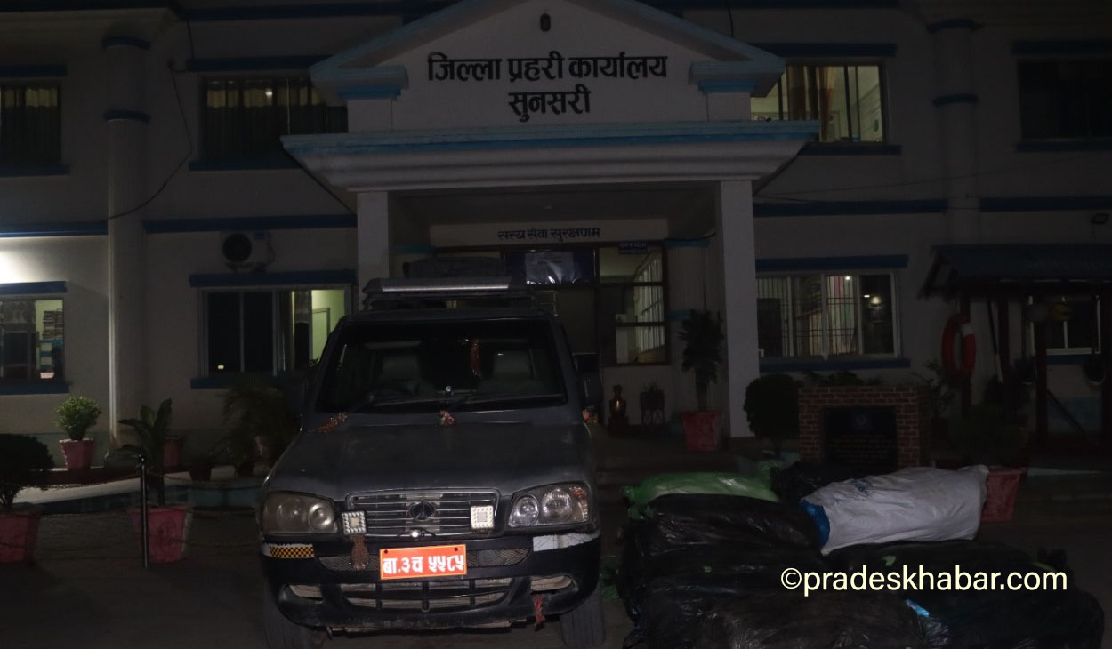 इनरुवामा ४६० केजी गाँजा सहित स्कारपियो प्रहरीको नियन्त्रणमा, चालक फरार