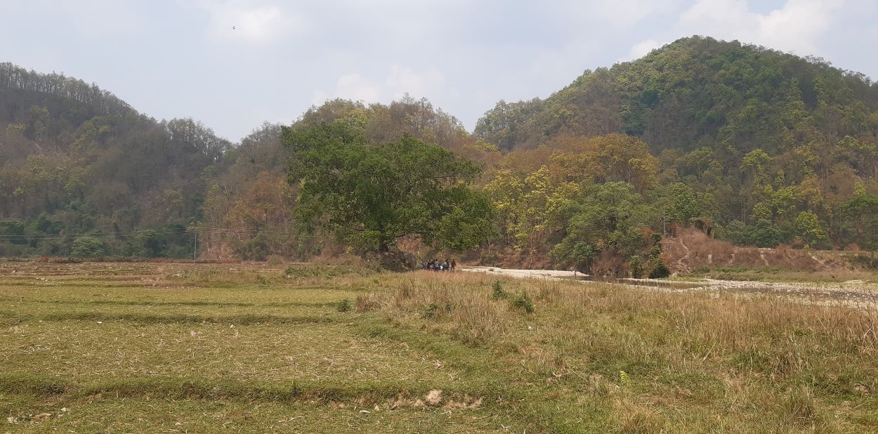 सुरौदी जलाधार क्षेत्रः पुल नहुँदा जोखिम, खेतीयोग्ज जमिन बगरमा परिणत