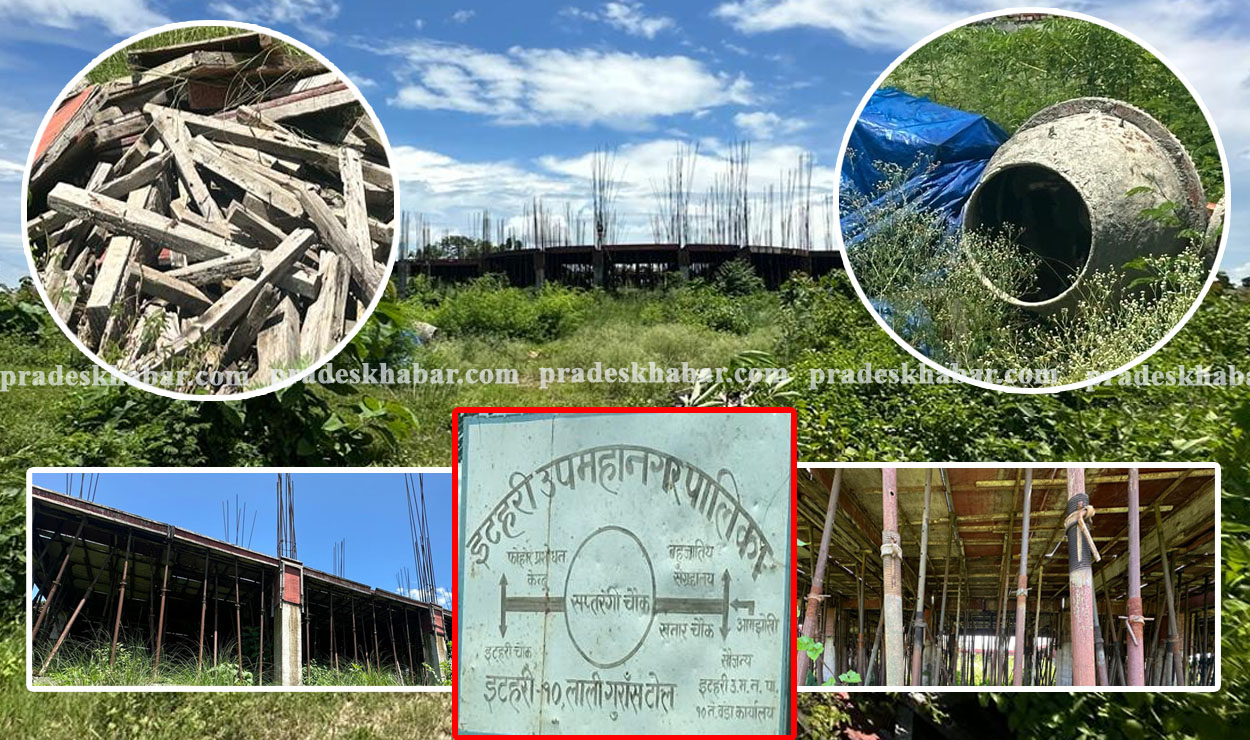 २५ प्रतिशत काम नसकिँदै इटहरीको बहुजातीय सङ्ग्रहालय झाडीमा परिणत, चार वर्षमा पनि निर्माण अधुरै