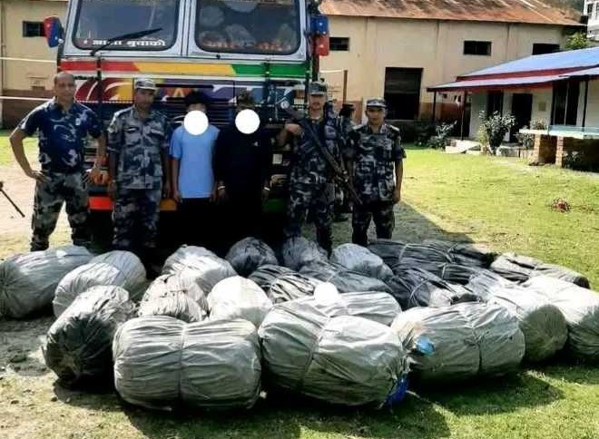 सुनसरीबाट ७८३ किलो गाँजा सहितको ट्रक प्रहरीको नियन्त्रणमा