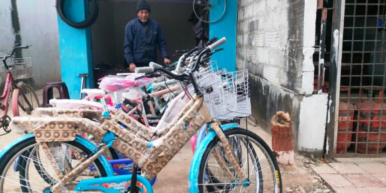 साइकल चढनेहरू दिनप्रतिदिन घट्दै