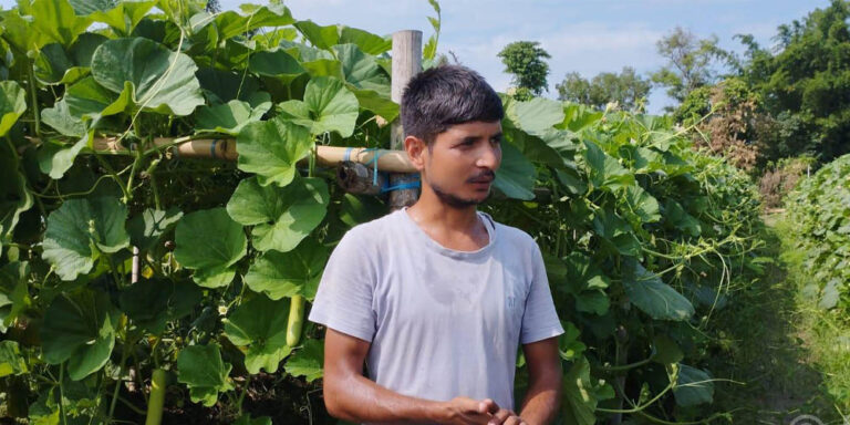 मौसमी सागसब्जी बेचेर मासिक दुई लाख आम्दानी