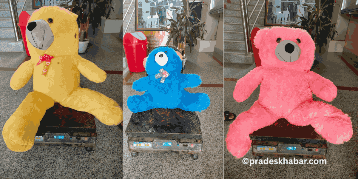 सुनसरीमा गुडिया भित्र लुकाइएको १० किलो गाँजा सहित एक पक्राउ