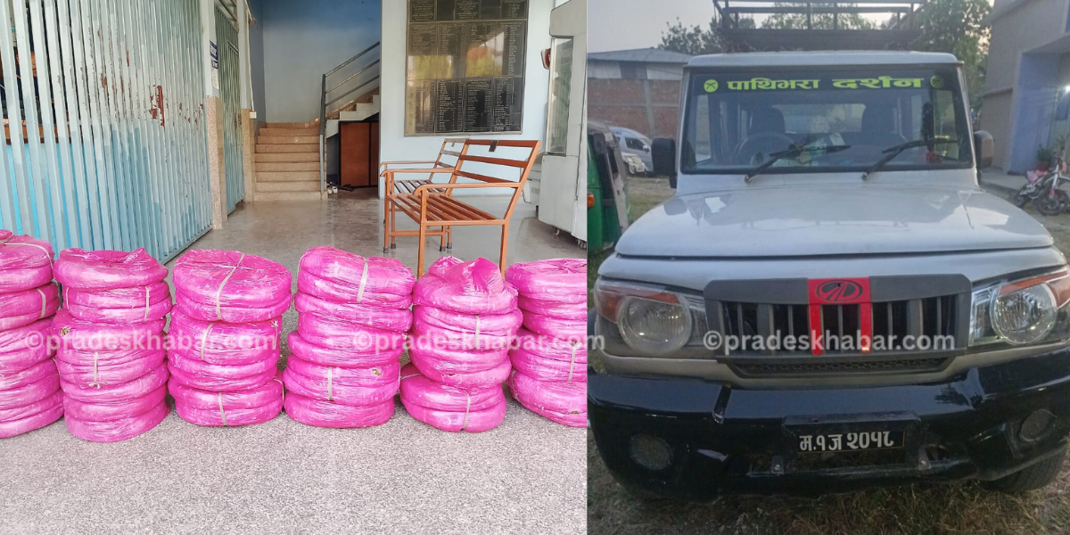 धरानको एक ग्यारेजबाट १४९ किलो गाँजासहित तीनजना पक्राउ