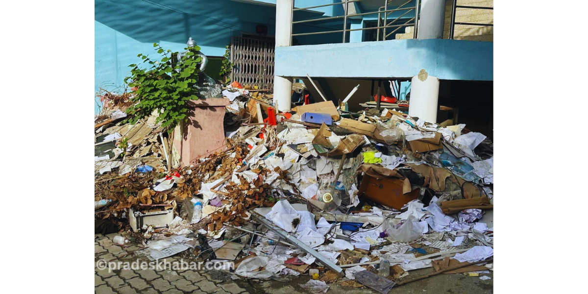 Untitled design (15)