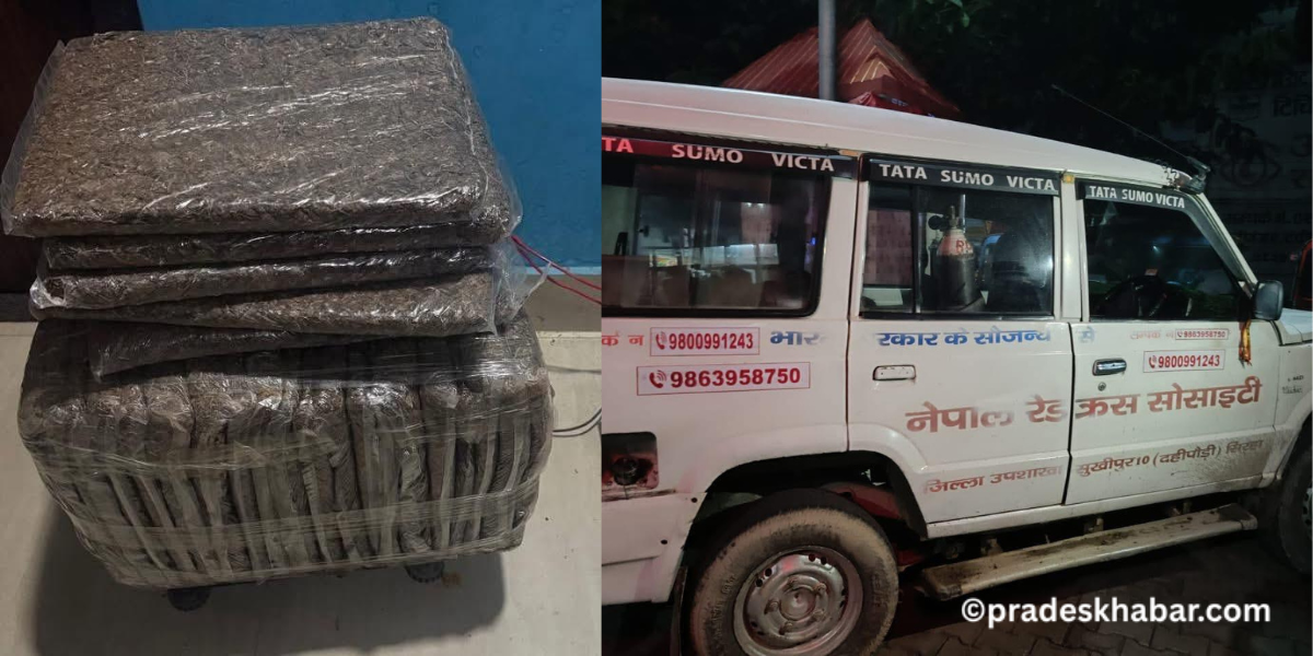 लागू औषध गाँजा ओसार पोसारमा संलग्न एम्बुलेन्स र चालक सहित २ जना पक्राउ