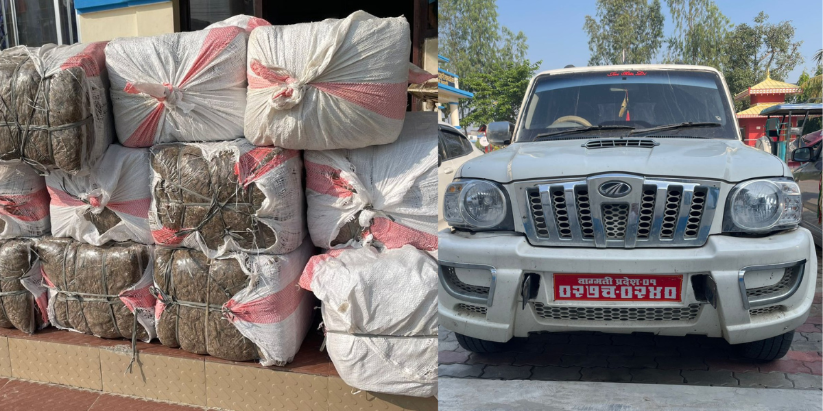 सुनसरीबाट दुईसय ५७ किलो गाँजा बरामद