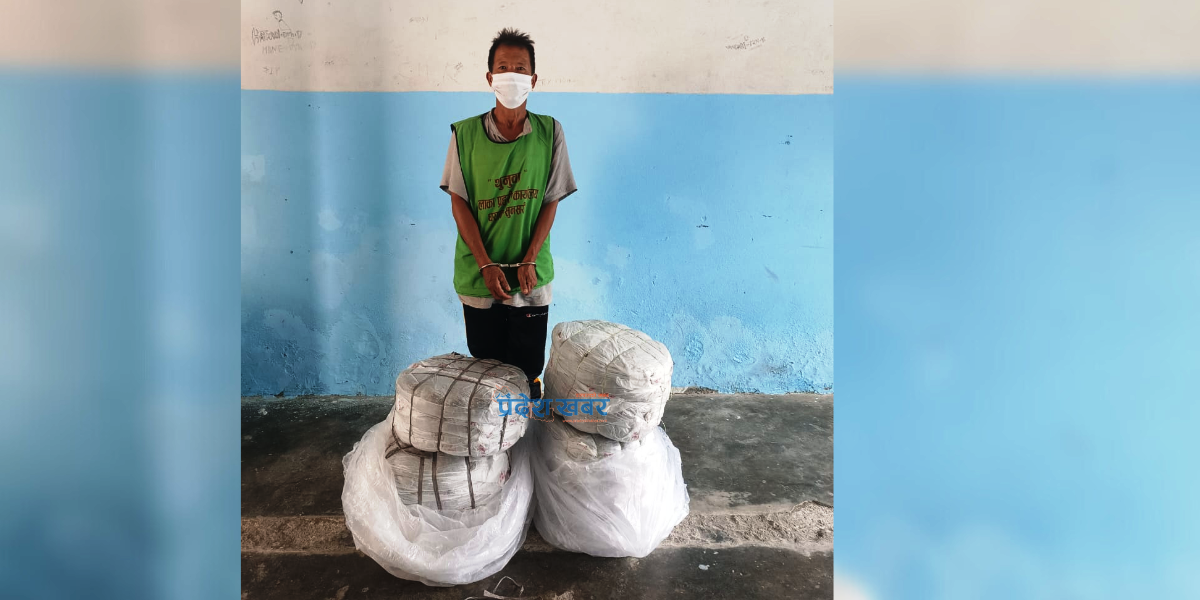 धरानबाट ५५ किलो गाँजासहित एक जना पक्राउ