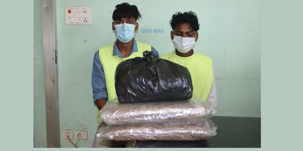 सुनसरीबाट मकैको खोयाभित्र लुकाइएको ६ केजी गाँजा सहित २ जना पक्राउ