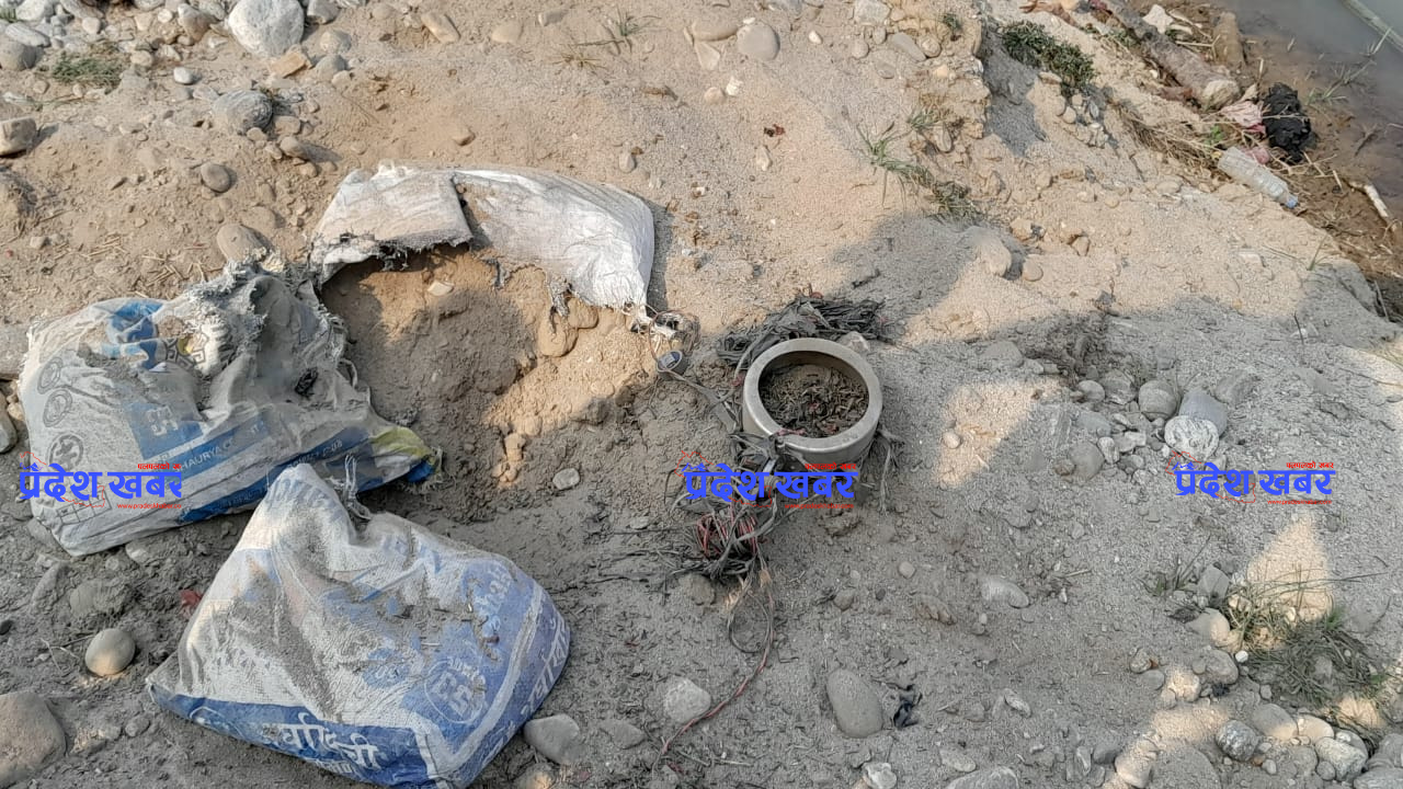 Untitled design (29)