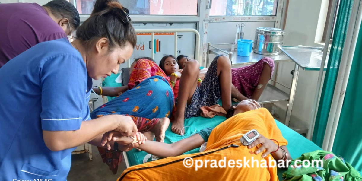 उदयपुरमा बिषालु च्याउ खाँदा आठजना विरामी