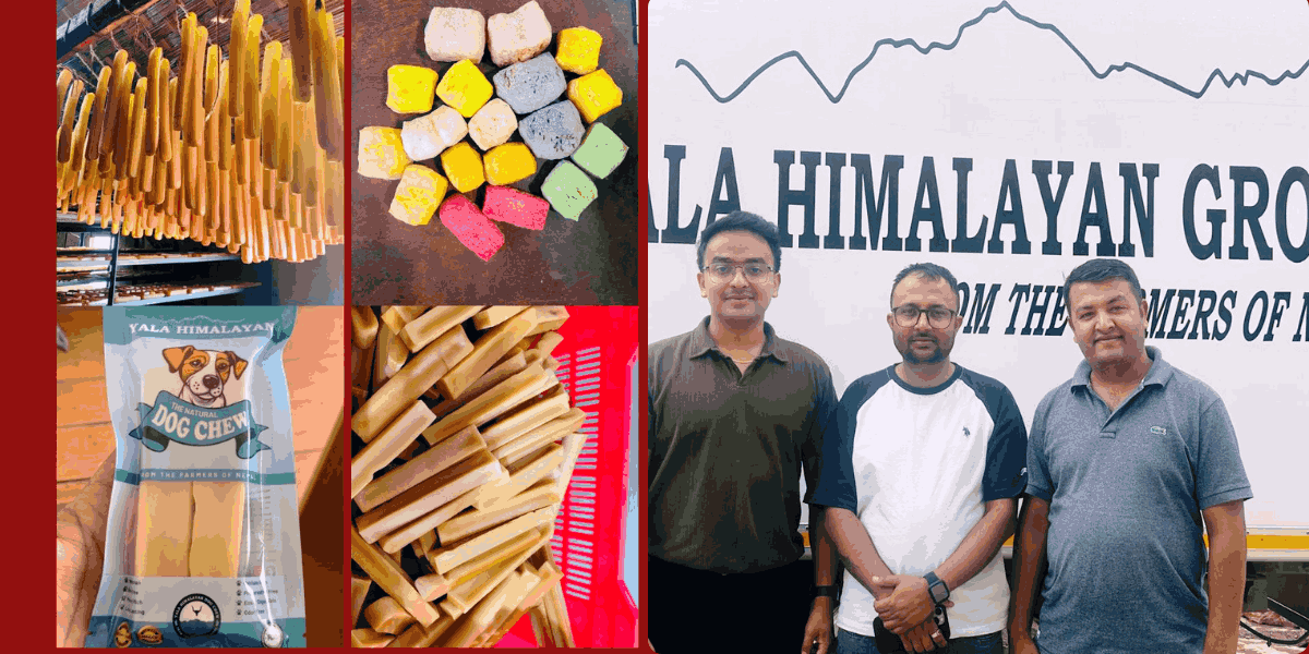 अमेरिकी बजारमा लोकप्रिय बन्न थाल्यो ‘याला हिमालयन डग चियु’