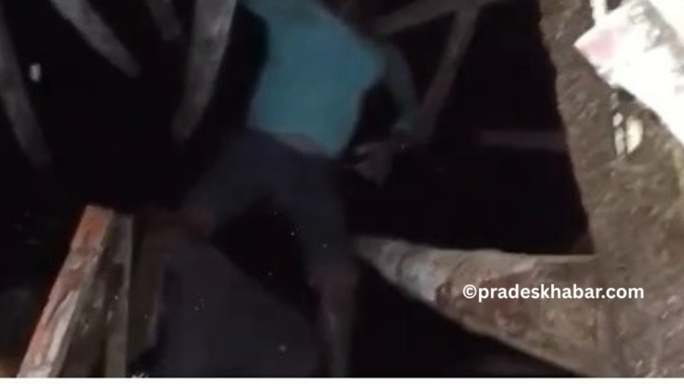 सुनसरीको दुहबीमा निर्माणाधीन घरको ‘सेफ्टी ट्यांकी’भित्र ठेकेदार र कामदार मृत फेला