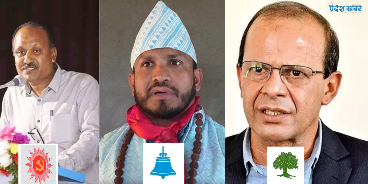 मोरङ क्षेत्र नम्बर २: कांग्रेस–एमालेको गढमा रास्वपाको चर्चा