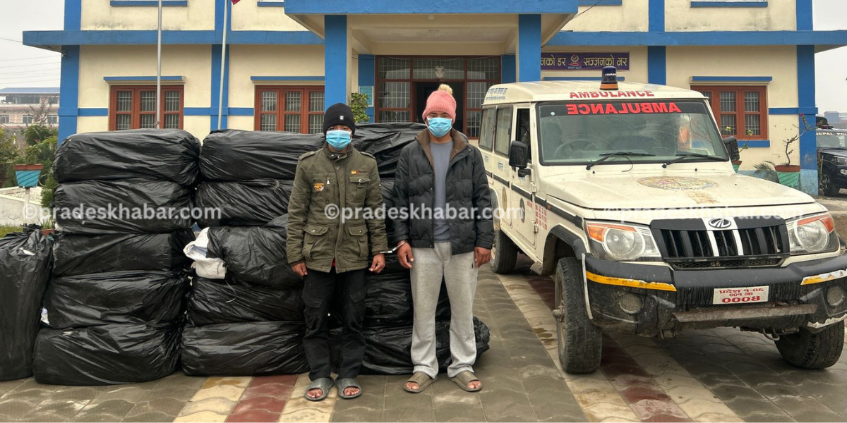 केराबारी गोली काण्ड : एम्बुलेन्सबाट ५ सय २१ किलो गाँजा बरामद