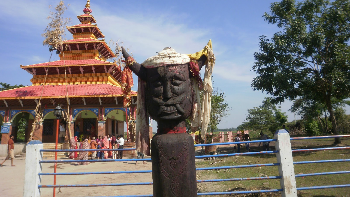 कङ्कालिनी भगवती मन्दिरमा ५९० वटा राँगाको बली
