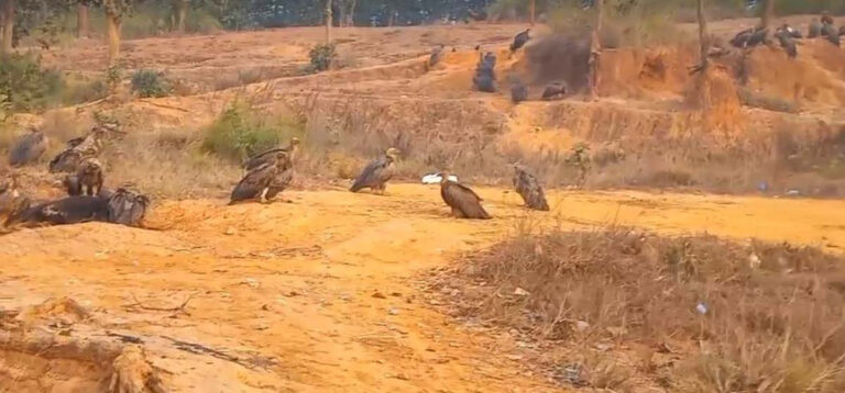 बर्दिबासको पर्यावरणबारे बढ्दै चासो