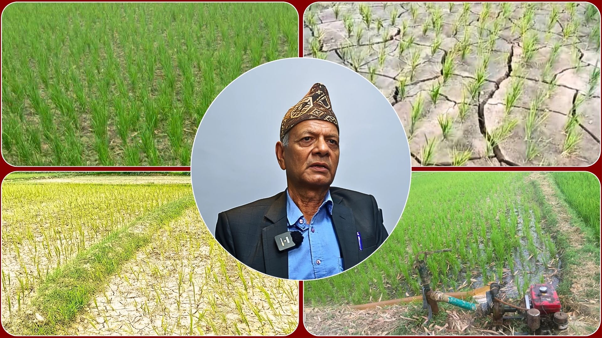 चुरे क्षेत्रको दोहनले मधेशमा खडेरीप¥यो, बैकल्पिक बालीमा जोड दिनुपर्छ : कृषिविज्ञ पौडेल