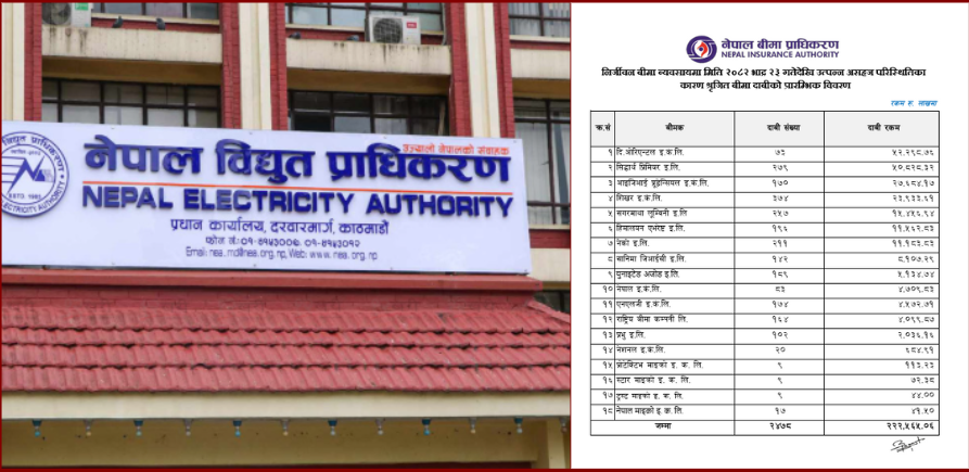 जेनजी आन्दोलन क्षति: २२ अर्ब २५ करोड भन्दा बढीको बीमा दाबी