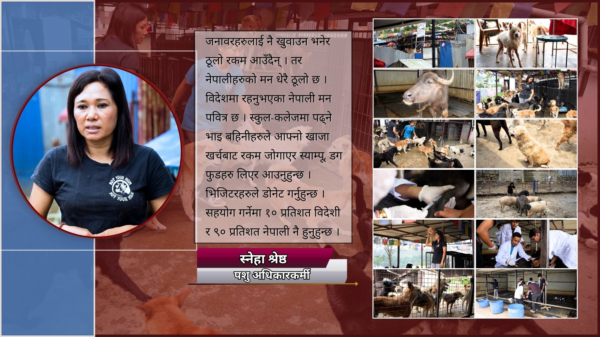 ‘जारा’लाई छिमेकीले विष खुवाइदिए अनि स्नेहाले बाटो मोडिन्