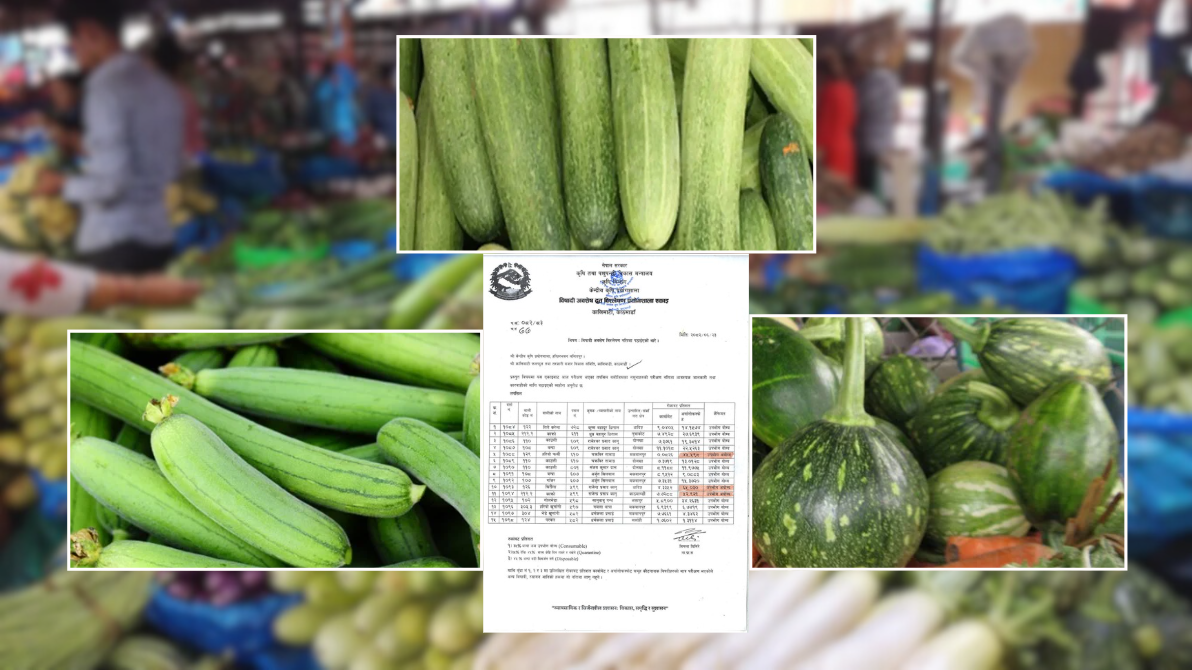 काठमाडौँमा हरियो फर्सी, घिरौँला र काँक्रोमा भेटियो अत्यधिक विषादी