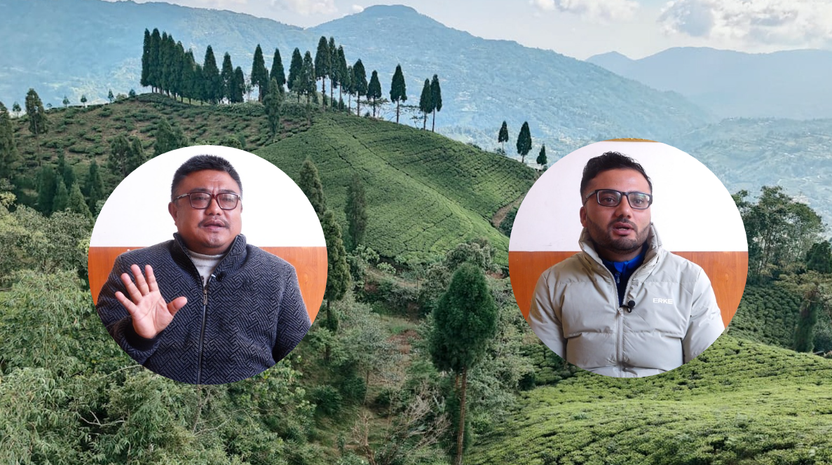 चिया निर्यात कार्यविधिविरुद्ध चिया उद्योगी चिन्तित : हजारौँ किसान र मजदुर जोखिममा