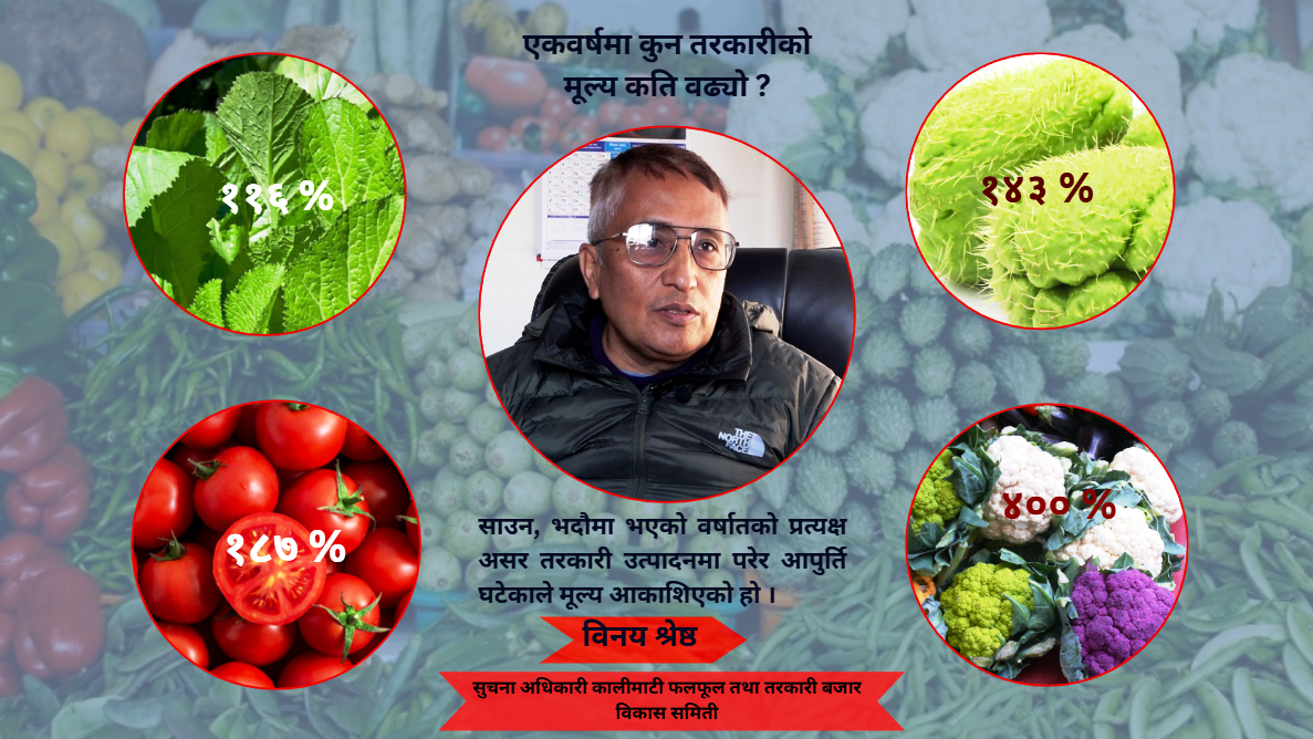 मौसमी तरकारीको मूल्य नै ४०० प्रतिशत सम्मले वृद्धि, थोकदेखि खुद्रा बजारमा पुग्दा अस्वभाविक मूल्य अन्तर कसरी ?