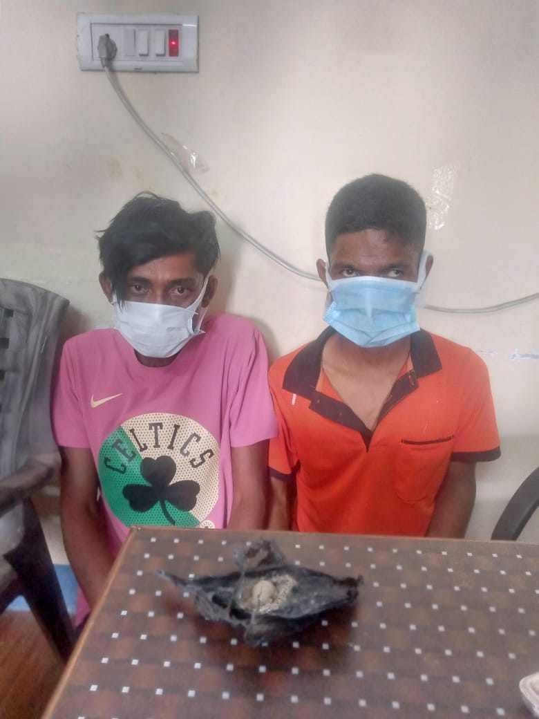 झापामा मलद्वारमा लुकाएर लागुऔषध ल्याउने दुई जना पक्राउ