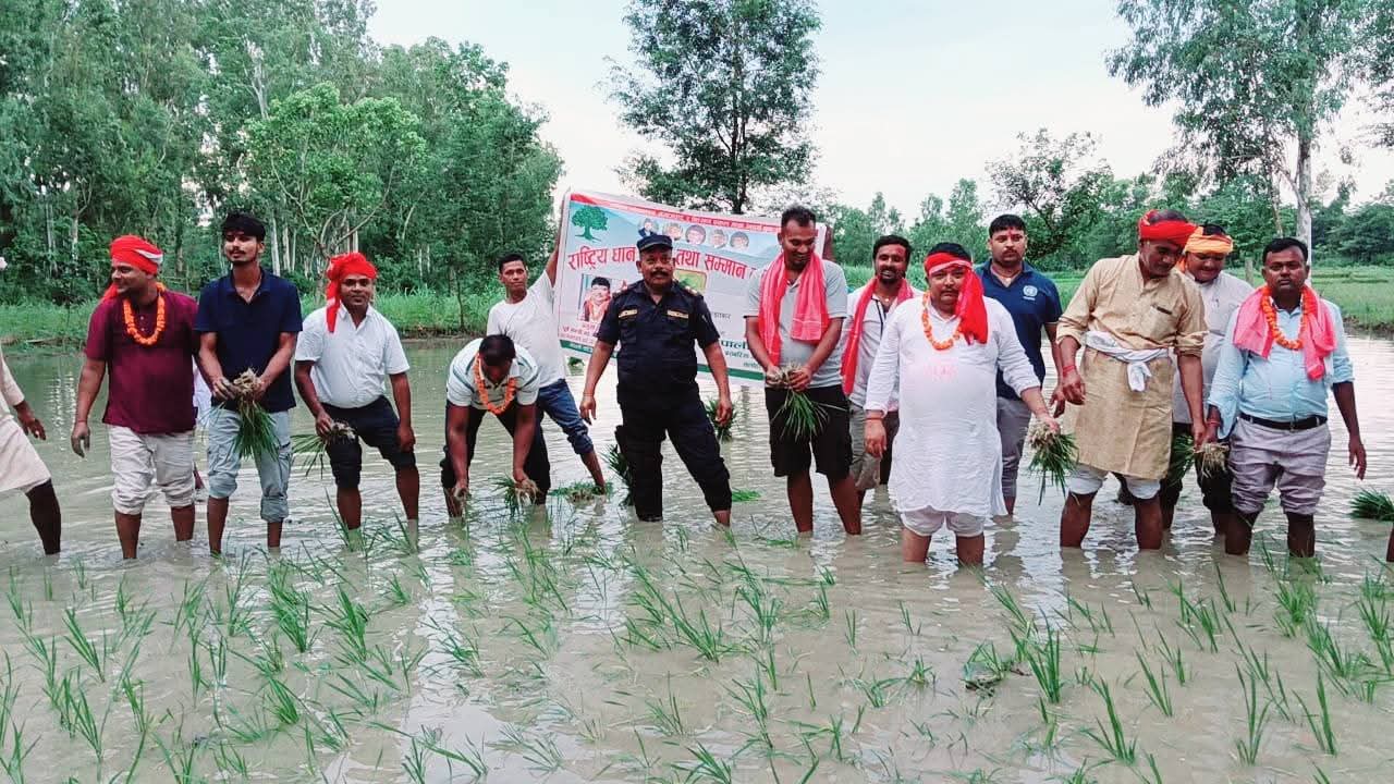 सरकारले मलखाद समयमै उपलब्ध गराउनुपर्छः नेता सिंह