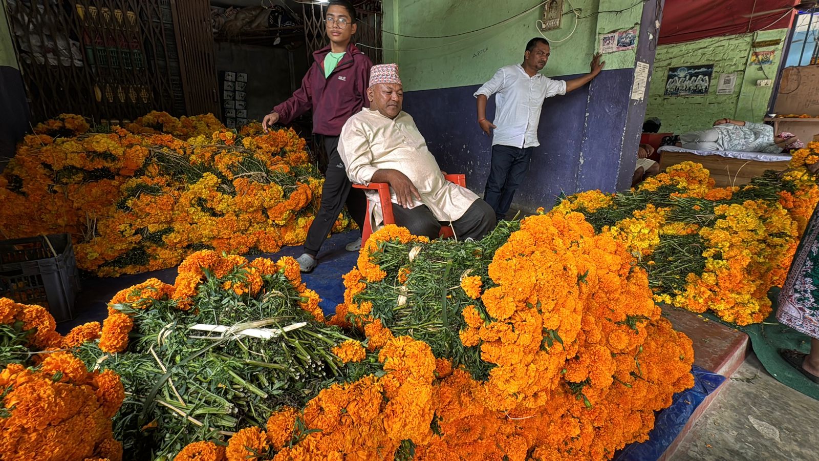 भाइटिका नजिकिँदा धरानमा सयपत्री फुलको अभाव, मूल्य दोब्बरले वृद्धि