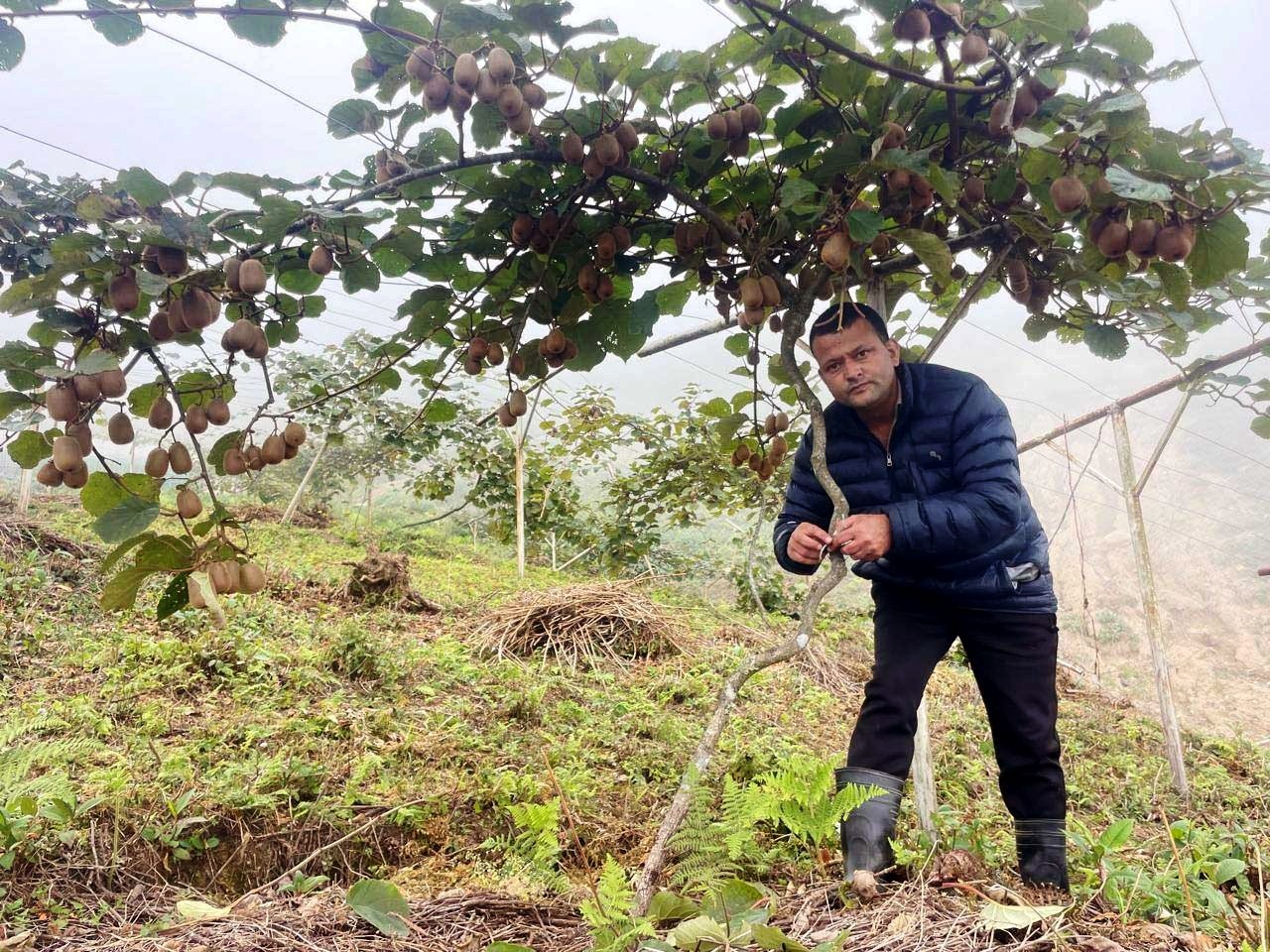 राजनीतिसगैँ उद्यमशीलतामा सक्रिय बनेका कडरिया