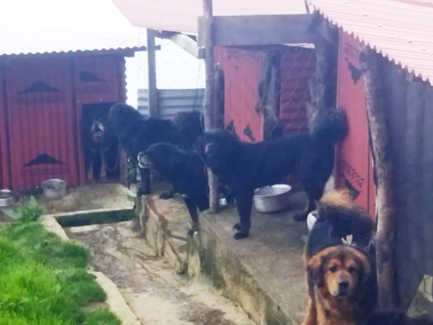 WhatsApp Image 2025-12-06 at 2.06.52 PM (2)