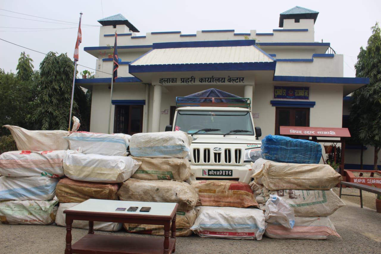 उदयपुरबाट ७६३  किलो गाँजासहित २ जना पक्राउ