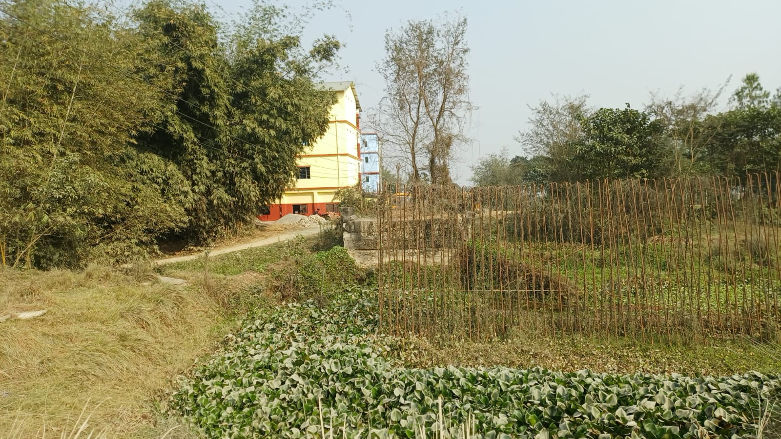 WhatsApp Image 2026-02-04 at 8.40.48 AM