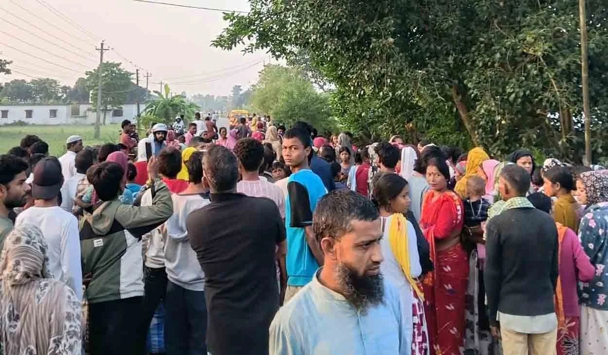 दसैँको मुखमा झापाको बाह्रदशीमा जंगली हात्तीको आक्रमणबाट वृद्धाको मृत्यु, अर्का वृद्ध गम्भीर घाइते